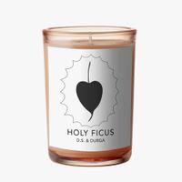 Holy Ficus – Candle