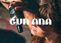 Gun Ana