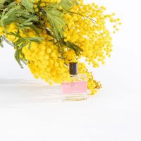 Bon Parfumeur 102 Eau de Parfum – Thé, Cardamome, Mimosa – 30ml