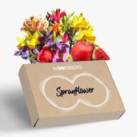 Woodberg Sprayflower – Fragrance Box