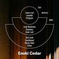 P.F. Candle Co. Alchemy Line: Enoki Cedar – Soy Candle Standard Size 