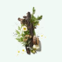 Corpus Naturals Natural Deodorant – Cedar Flora