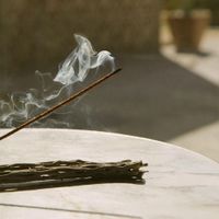 Juniper Ridge Natural Incense – California Juniper