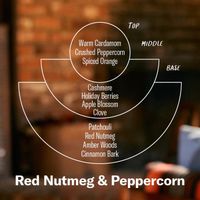 P.F. Candle Co. Red Nutmeg & Peppercorn – Limited Soy Candle Standard Size