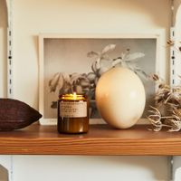 P.F. Candle Co. No. 01: Spiced Pumpkin – Candle Standard Size