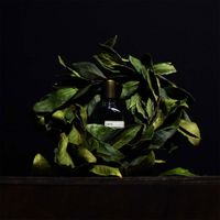 Viride | Orto Parisi | Extrait de Parfum | 50ml | Jetzt kaufen