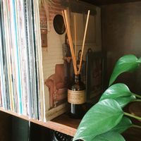 P.F. Candle Co. No. 04: Teakwood & Tobacco – Reed Diffuser